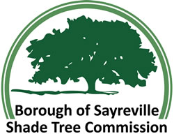 Shade Tree Commision